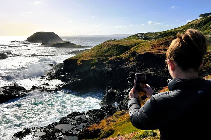 Dyrelivs- og kystsceneri-tur på Phillip Island fra Melbourne, Australien, foto 10 | wizardtrip