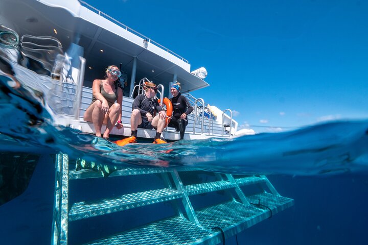 Heldagsutflykt till Stora Barriärrevet från Cairns, Australien, med snorkling och dykning, foto 6 | wizardtrip