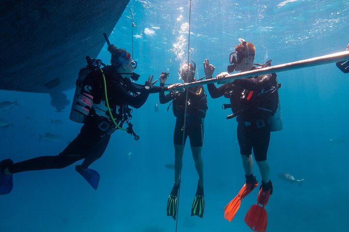 Heldagsutflykt till Stora Barriärrevet från Cairns, Australien, med snorkling och dykning, foto 7 | wizardtrip