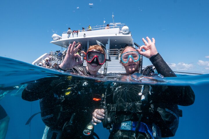 Heldagsutflykt till Stora Barriärrevet från Cairns, Australien, med snorkling och dykning, foto 9 | wizardtrip