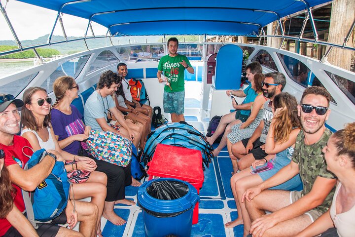 Excursion en bateau d'une journée aux magnifiques îles Phi Phi au départ de Krabi, Thaïlande, avec Maya Bay et snorkeling, photo 16 | wizardtrip