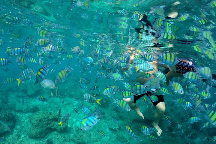 Excursion en bateau d'une journée aux magnifiques îles Phi Phi au départ de Krabi, Thaïlande, avec Maya Bay et snorkeling, photo 21 | wizardtrip