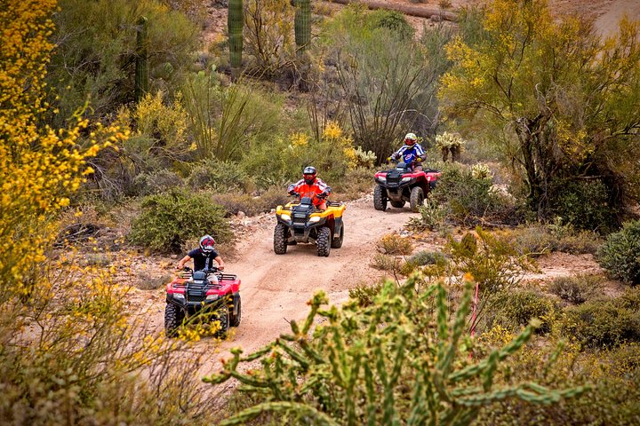 Guided Arizona Desert Tour by ATV - Centipede Tour | wizardtrip