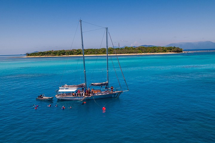 Ocean Free: Excursión en Grupo Reducido a la Gran Barrera de Coral e Isla Verde | wizardtrip