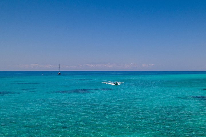 ケアンズ発、グレートバリアリーフとグリーン島へのセーリング旅行、写真10 | wizardtrip