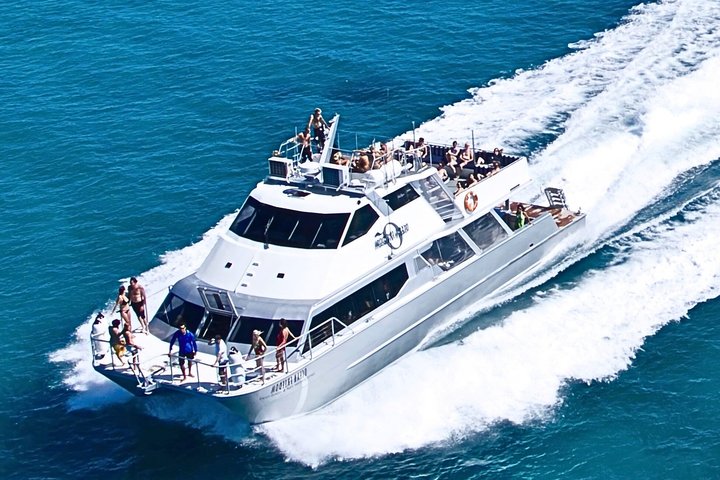 Ocean Freedom : Croisière de luxe sur la Grande Barrière de Corail au départ de Cairns | wizardtrip
