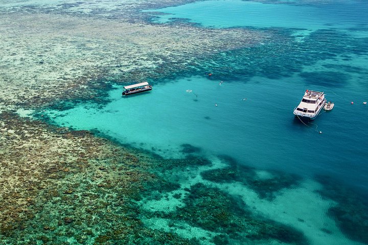 Stilfuld katamarantur til snorkling og dykning ved Great Barrier Reef fra Cairns, Australien, foto 7 | wizardtrip