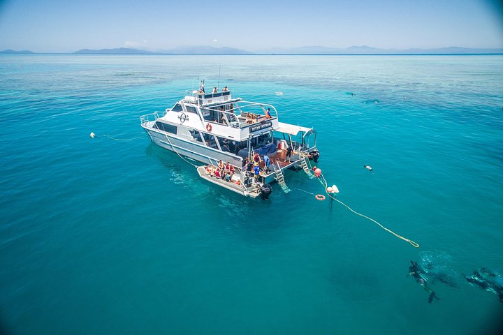 Stilfuld katamarantur til snorkling og dykning ved Great Barrier Reef fra Cairns, Australien, foto 8 | wizardtrip