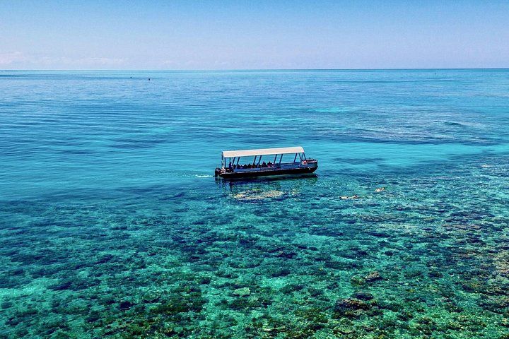 Stilfuld katamarantur til snorkling og dykning ved Great Barrier Reef fra Cairns, Australien, foto 11 | wizardtrip