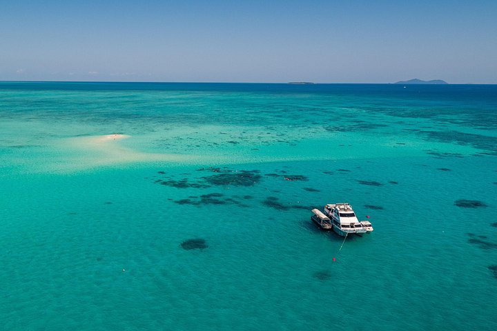 Stilfuld katamarantur til snorkling og dykning ved Great Barrier Reef fra Cairns, Australien, foto 12 | wizardtrip
