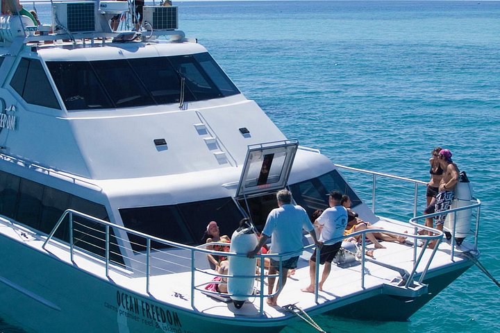 Stilfuld katamarantur til snorkling og dykning ved Great Barrier Reef fra Cairns, Australien, foto 13 | wizardtrip