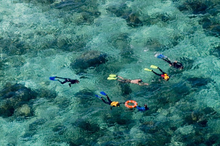 Stilfuld katamarantur til snorkling og dykning ved Great Barrier Reef fra Cairns, Australien, foto 14 | wizardtrip