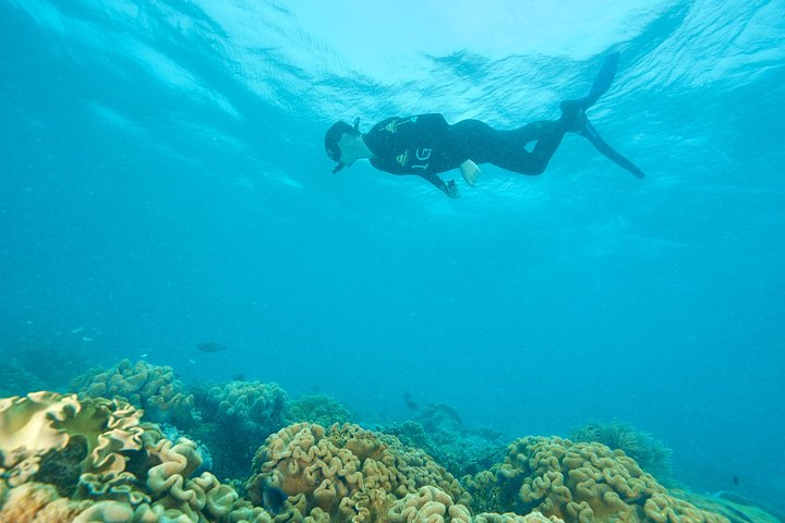Stilfuld katamarantur til snorkling og dykning ved Great Barrier Reef fra Cairns, Australien, foto 17 | wizardtrip