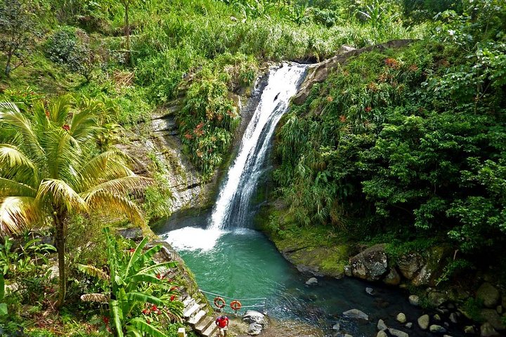 Excursion d'une journée : Cascade de Concord, Chocolaterie, Distillerie de Rhum, Grand Etang | wizardtrip