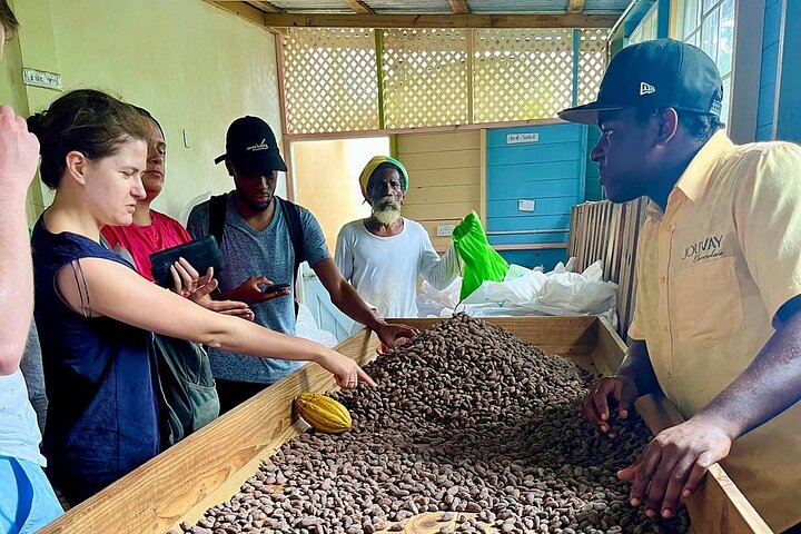 Excursion d'une journée des points forts de la Grenade, y compris les cascades, le chocolat, le rhum et la forêt tropicale, photo 7 | wizardtrip