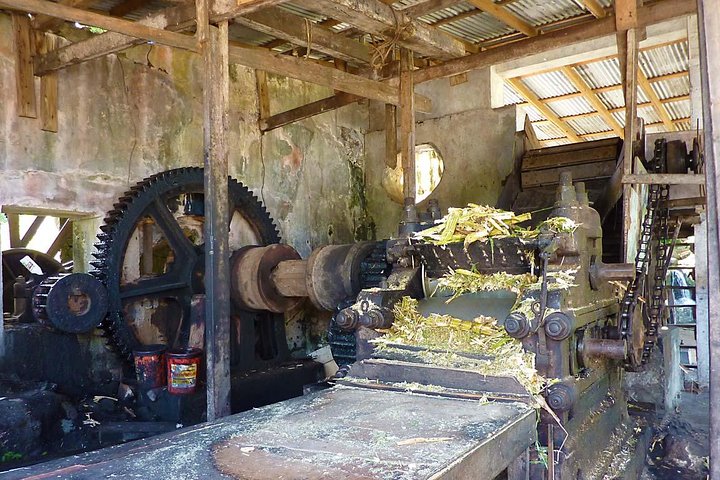 Excursion d'une journée des points forts de la Grenade, y compris les cascades, le chocolat, le rhum et la forêt tropicale, photo 8 | wizardtrip