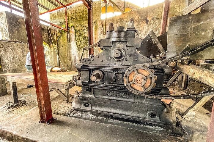 Excursion d'une journée des points forts de la Grenade, y compris les cascades, le chocolat, le rhum et la forêt tropicale, photo 9 | wizardtrip