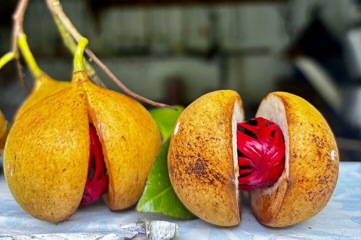 Excursion d'une journée des points forts de la Grenade, y compris les cascades, le chocolat, le rhum et la forêt tropicale, photo 16 | wizardtrip