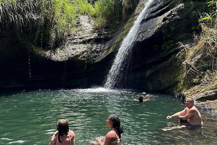 Excursion d'une journée des points forts de la Grenade, y compris les cascades, le chocolat, le rhum et la forêt tropicale, photo 17 | wizardtrip