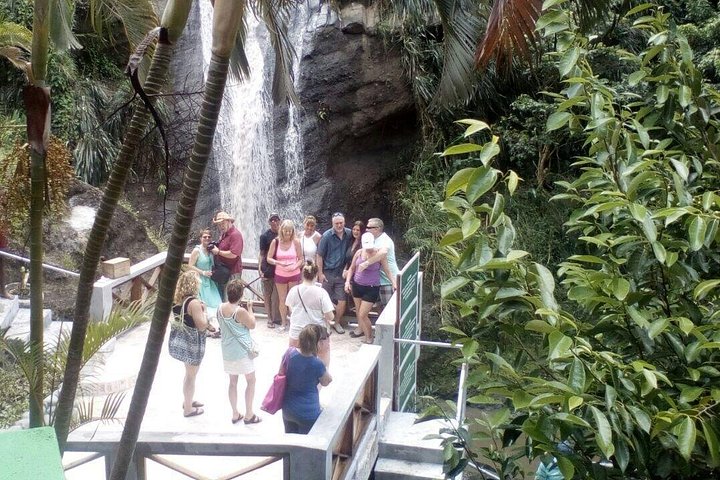 Excursion d'une journée des points forts de la Grenade, y compris les cascades, le chocolat, le rhum et la forêt tropicale, photo 20 | wizardtrip