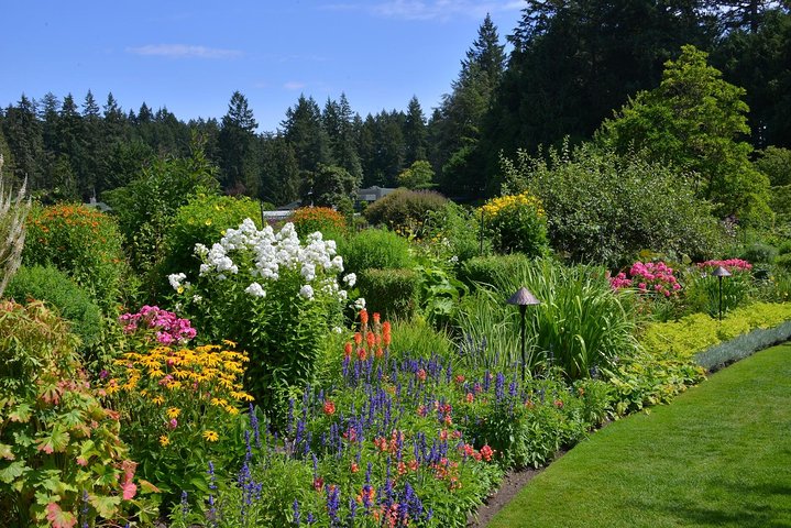 Tour di un'intera giornata a Victoria e Butchart Gardens da Vancouver, con traghetto e giardini, foto 11 | wizardtrip