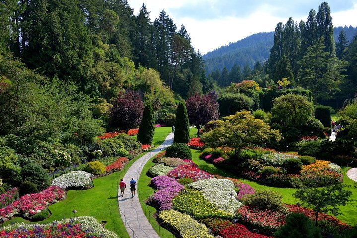Tour di un'intera giornata a Victoria e Butchart Gardens da Vancouver, con traghetto e giardini, foto 14 | wizardtrip