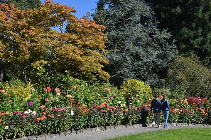 Tour di un'intera giornata a Victoria e Butchart Gardens da Vancouver, con traghetto e giardini, foto 15 | wizardtrip