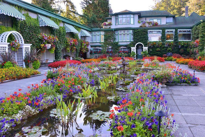 Tour di un'intera giornata a Victoria e Butchart Gardens da Vancouver, con traghetto e giardini, foto 17 | wizardtrip