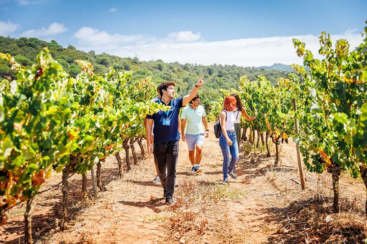Arrábida and Sesimbra Small-Group Day Trip from Lisbon with Wine Tasting | wizardtrip