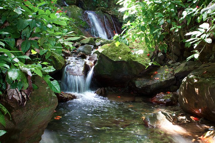 Sperimenta l'avventura di zipline e discesa in corda doppia alle cascate vicino a San Juan, Porto Rico, foto 7 | wizardtrip