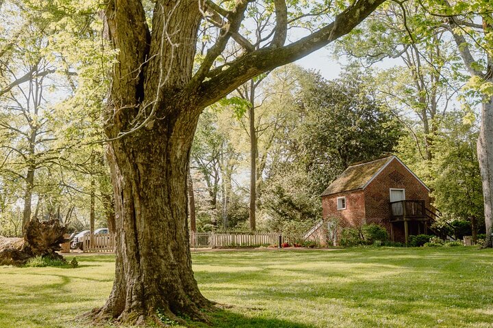 Guidet tur i Belle Meade herskapshus og vinsmaking i Nashville, foto 7 | wizardtrip
