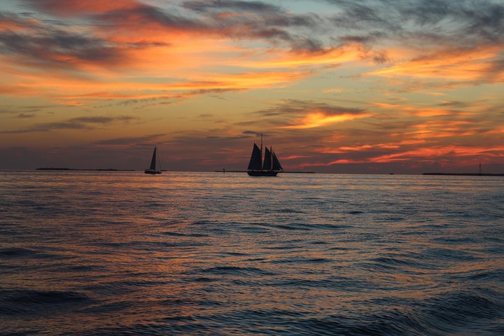 Key West solnedgangssejlads ombord på en elegant skonnert med gratis drikkevarer og forretter, foto 11 | wizardtrip