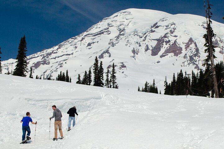 Naturskjønn tur til Mount Rainier National Park fra Seattle, som viser isbreer, fossefall og skoger, foto 6 | wizardtrip
