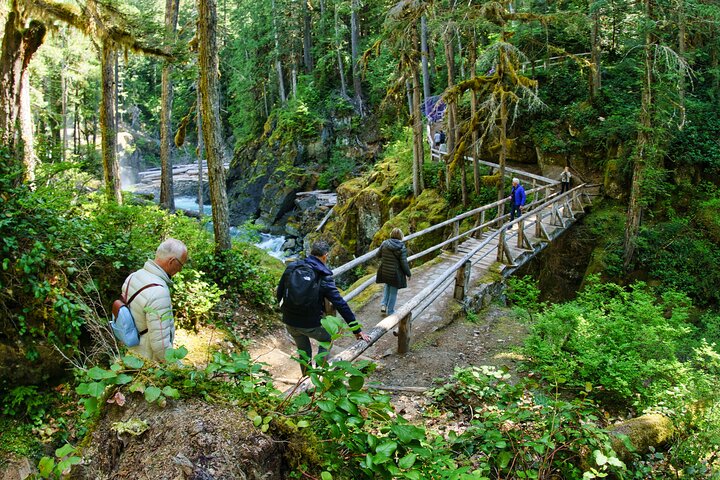 Naturskjønn tur til Mount Rainier National Park fra Seattle, som viser isbreer, fossefall og skoger, foto 11 | wizardtrip
