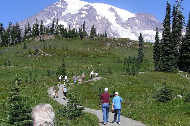 Naturskjønn tur til Mount Rainier National Park fra Seattle, som viser isbreer, fossefall og skoger, foto 14 | wizardtrip