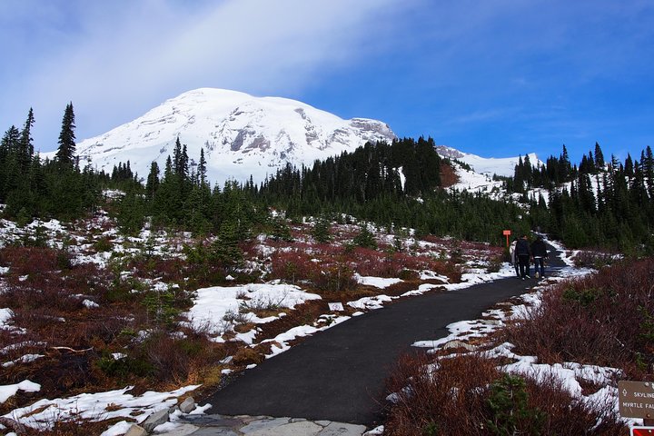 Naturskjønn tur til Mount Rainier National Park fra Seattle, som viser isbreer, fossefall og skoger, foto 18 | wizardtrip