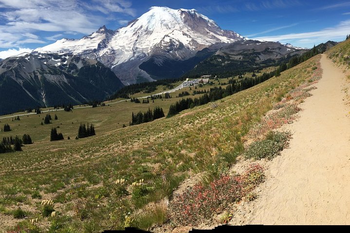 Naturskjønn tur til Mount Rainier National Park fra Seattle, som viser isbreer, fossefall og skoger, foto 19 | wizardtrip