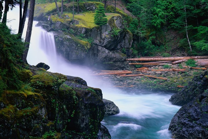 Naturskjønn tur til Mount Rainier National Park fra Seattle, som viser isbreer, fossefall og skoger, foto 21 | wizardtrip