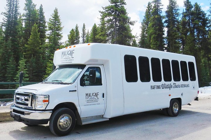 Malerische Tour durch das Maligne Valley und den Maligne Lake im Jasper Nationalpark, Kanada, Foto 9 | wizardtrip