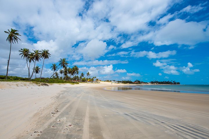 Spennende buggytur over sanddyner og langs uberørte strender på Natals nordkyst, Brasil, foto 7 | wizardtrip