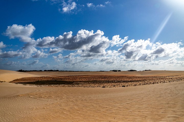 Spennende buggytur over sanddyner og langs uberørte strender på Natals nordkyst, Brasil, foto 11 | wizardtrip