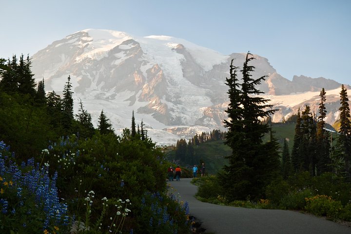 Meilleur du Parc National du Mont Rainier depuis Seattle : Visite tout compris en petit groupe | wizardtrip
