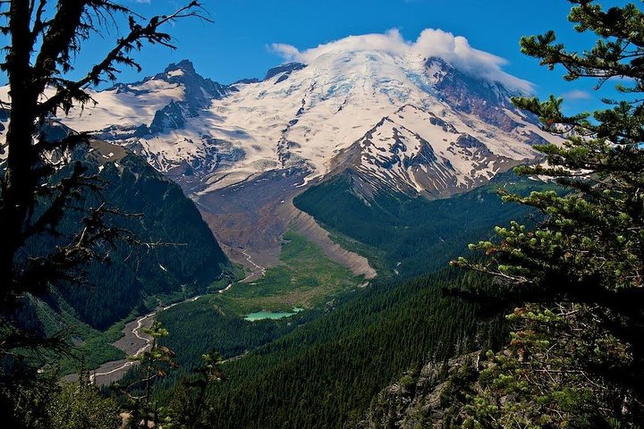 Tour en grupo pequeño explorando las maravillas naturales del Parque Nacional Mount Rainier desde Seattle, foto 9 | wizardtrip