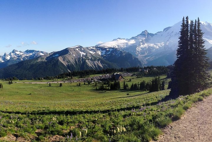 Tour en grupo pequeño explorando las maravillas naturales del Parque Nacional Mount Rainier desde Seattle, foto 10 | wizardtrip