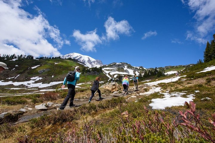 Tour en grupo pequeño explorando las maravillas naturales del Parque Nacional Mount Rainier desde Seattle, foto 11 | wizardtrip