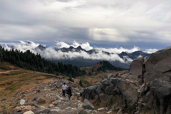 Tour en grupo pequeño explorando las maravillas naturales del Parque Nacional Mount Rainier desde Seattle, foto 14 | wizardtrip