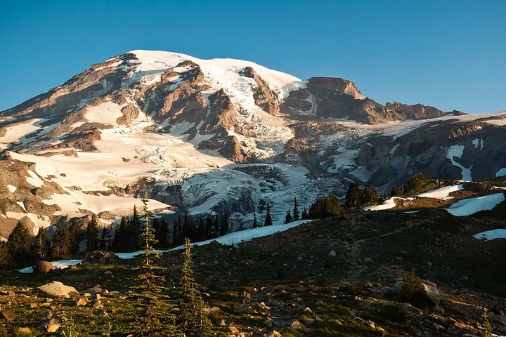 Tour en grupo pequeño explorando las maravillas naturales del Parque Nacional Mount Rainier desde Seattle, foto 15 | wizardtrip