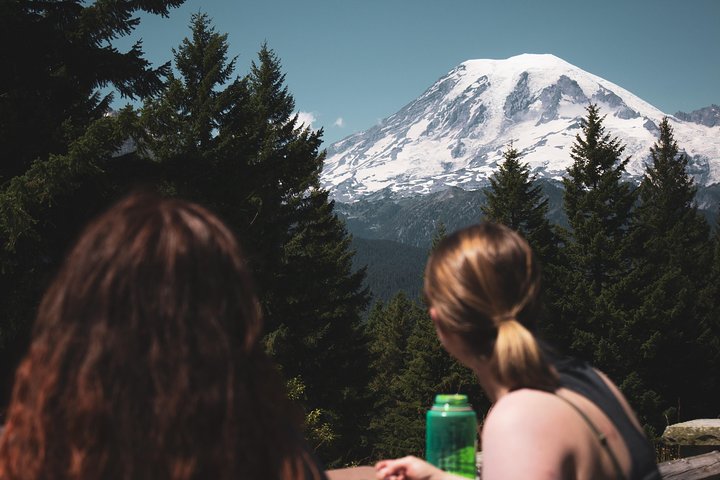 Tour en grupo pequeño explorando las maravillas naturales del Parque Nacional Mount Rainier desde Seattle, foto 16 | wizardtrip