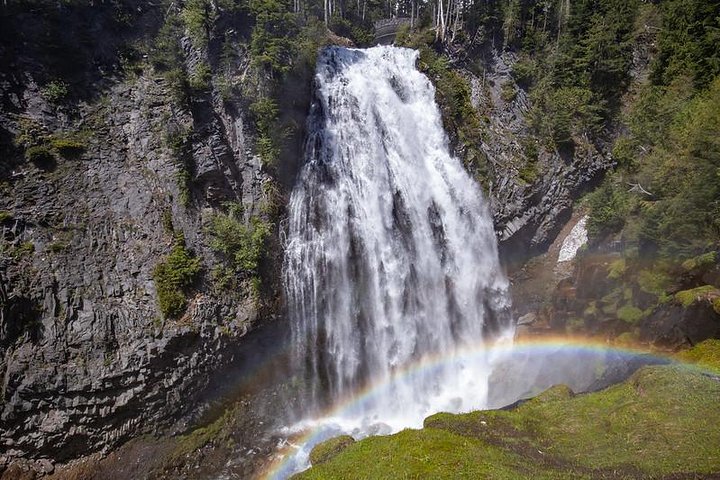 Tour en grupo pequeño explorando las maravillas naturales del Parque Nacional Mount Rainier desde Seattle, foto 19 | wizardtrip