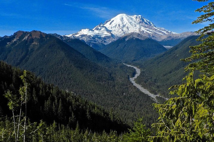 Tour en grupo pequeño explorando las maravillas naturales del Parque Nacional Mount Rainier desde Seattle, foto 20 | wizardtrip